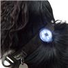 Mountain Paws Dog Safety Light