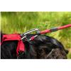 Mountain Paws Rope Dog Lead Red